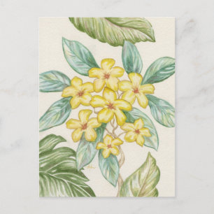 Carte postale Plumeria jaune