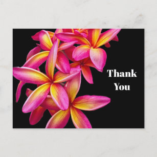 Carte Postale Plumeria rose assez Merci de photo florale