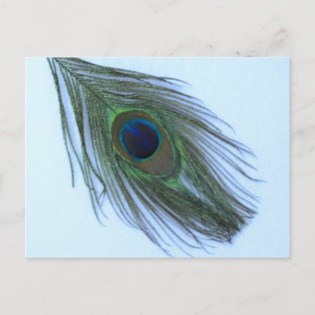 Carte Postale Plumes bleu Peacock (Devant)
