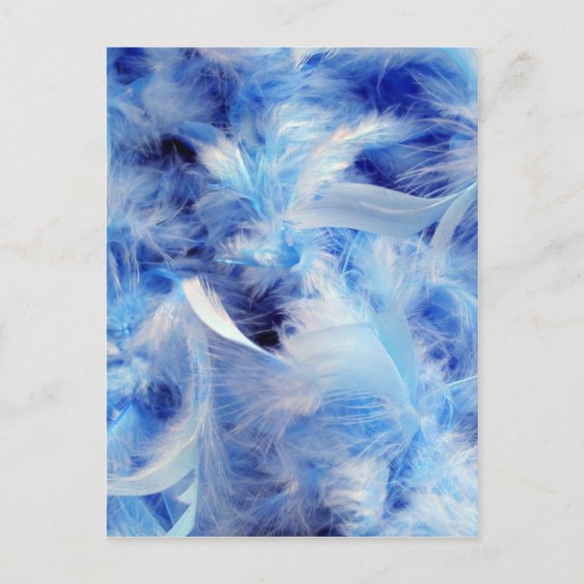 Carte Postale Plumes bleues (Devant)