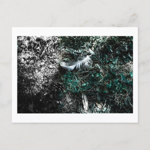 Carte Postale Plumes dans les Bois par Jeffrey H. Thornton : 