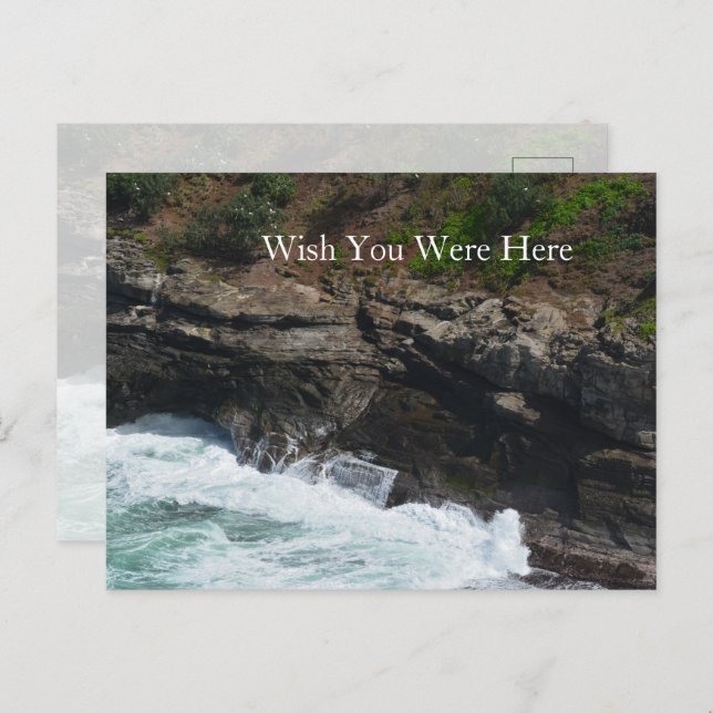 Carte Postale Plumes de paon Kauai Hawaii (Devant / Derrière)