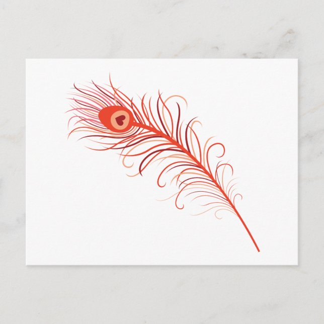 Carte Postale Plumes de paquetage (Devant)