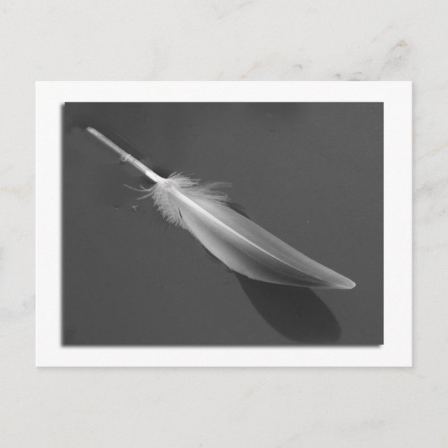 Carte postale Plumes flottantes (Devant)
