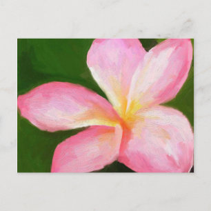 Carte Postale plumie rose