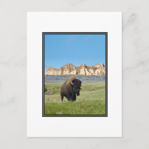 CARTE POSTALE PLUS FORT QU'ELLE