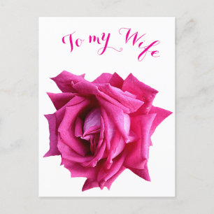 Carte Postale Plutôt rose rose rose chaud floral Joyeux amour Va