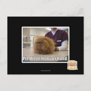 Carte Postale Plz remoov votre main