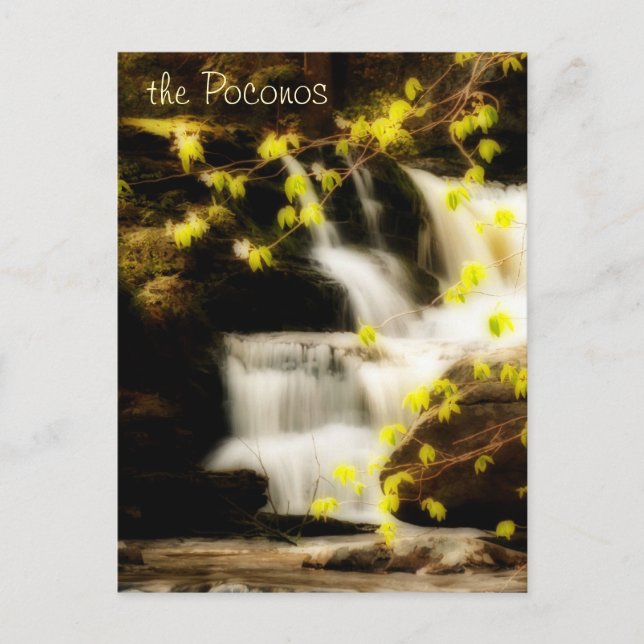 Carte postale Poconos Springtime Waterfall Scene (Devant)