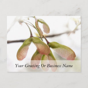 Carte Postale Pods de graines d'érable ailés