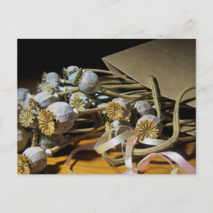 Carte Postale Pods de pavot à fleurs séchés