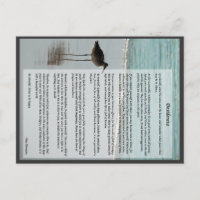 Poème de Desiderata - Mouette sur la scène de plag