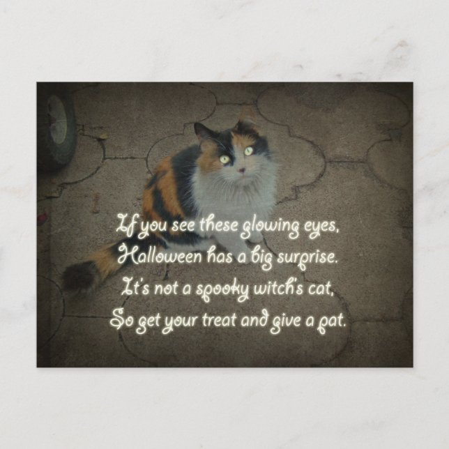 Carte Postale Poème d'Halloween - Calico Cat (Devant)