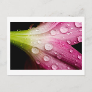 Carte Postale poids de départ