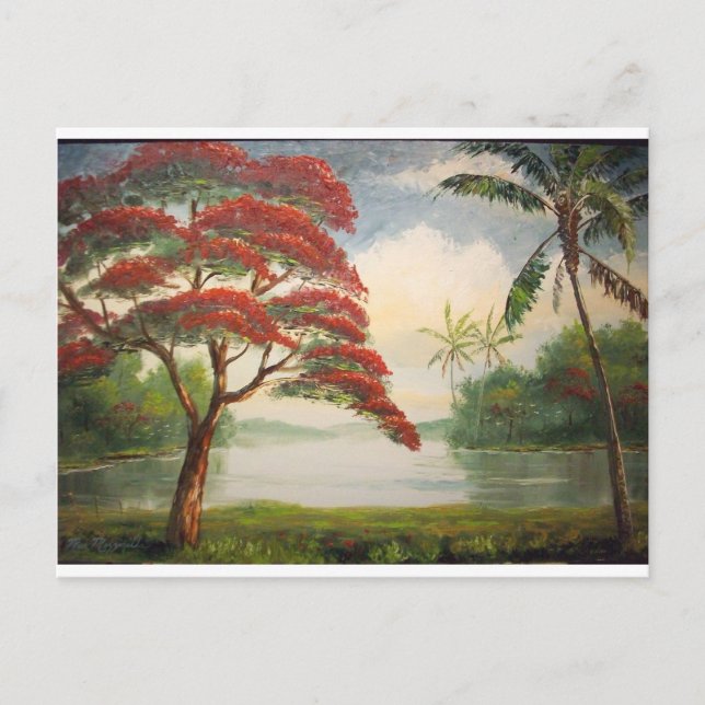 Carte Postale Poinciana Royale (Flamboyant Tree) (Devant)