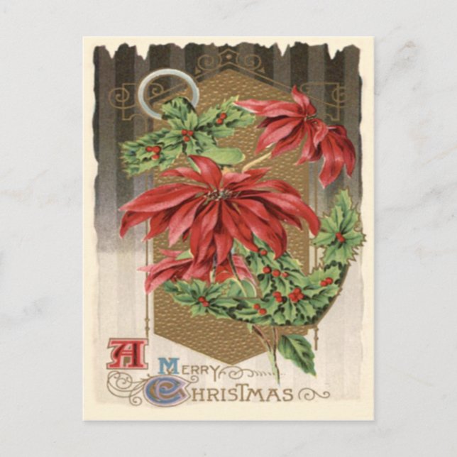 Carte Postale Poinsettia Holly Ancre Nautique (Devant)