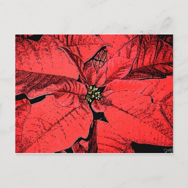 Carte Postale Poinsettia rouge (Devant)