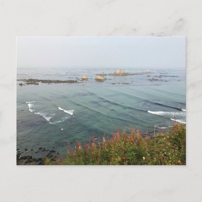 Carte Postale Point de vue de Simpson Reef, côte de l'Oregon (Devant)