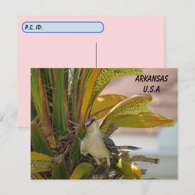 Carte Postale Point d'entrée Arkansas State Bird w ID Box (Devant / Derrière)