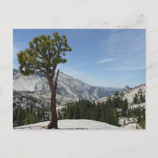 Carte Postale Point I d'Olmsted au parc national Yosemite (Devant)