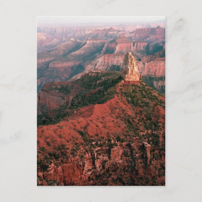 Carte Postale Point Imperial et Mount Hayden au coucher du solei (Devant)