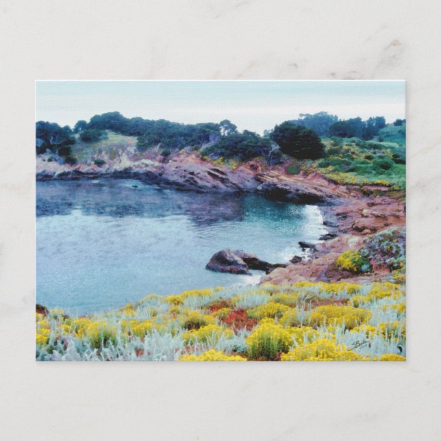 Carte Postale Point Lobos (Devant)