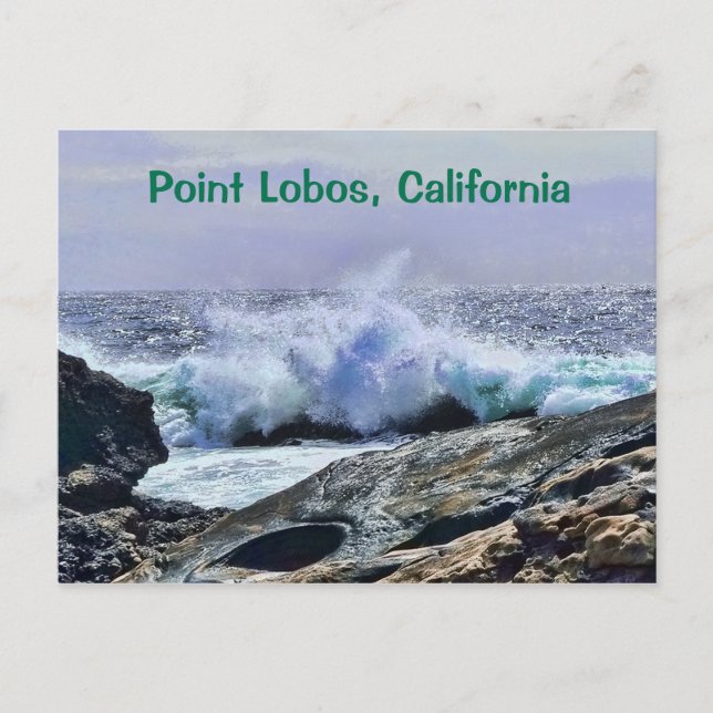 Carte Postale Point Lobos Côte Centrale Californie (Devant)