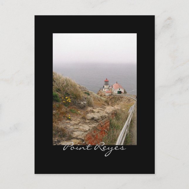 Carte Postale Point Reyes Lighthouse Postcard (Devant)