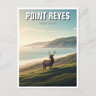 Carte Postale Point Reyes National Seashore Elk