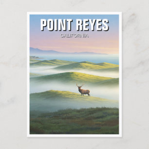 Carte Postale Point Reyes National Seashore Elk
