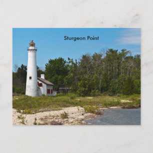Carte Postale Point Sturgeon