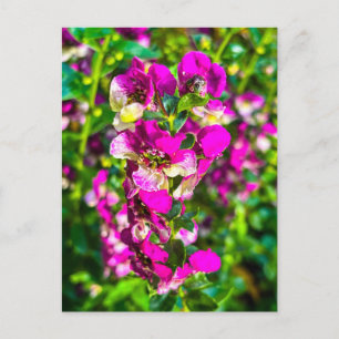 Carte Postale Pointe de fleurs rose vif avec rosée