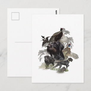 Carte Postale Pointer à poil dur, Chasse en plein air