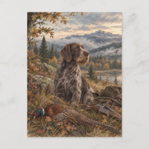 Carte Postale Pointer allemand à poil dur