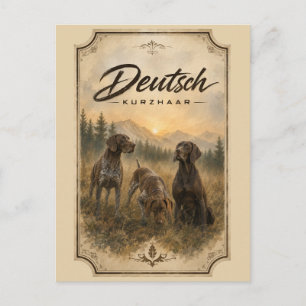 Carte Postale Pointer allemand - Collection de chasse