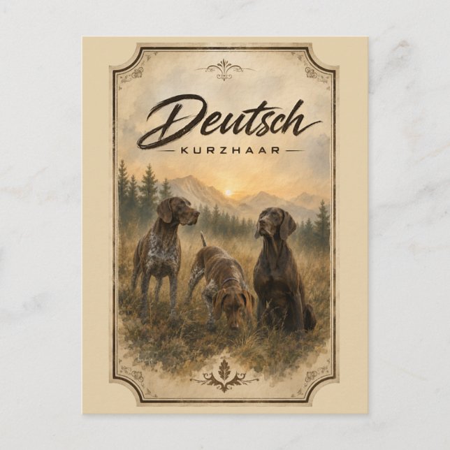 Carte Postale Pointer allemand - Collection de chasse (Devant)