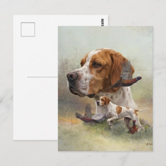 Carte Postale Pointer Anglais