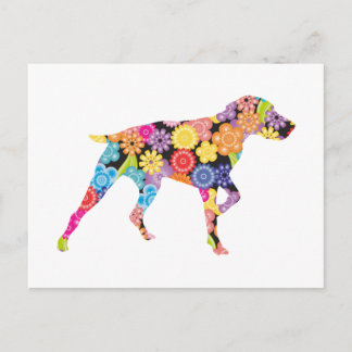 Carte Postale Pointeur à poils courts allemand