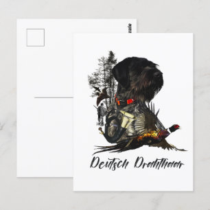 Carte Postale Pointeur À poils durs allemand