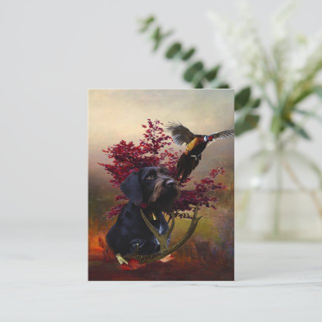 Carte Postale Pointeur À poils durs allemand (Debout devant)