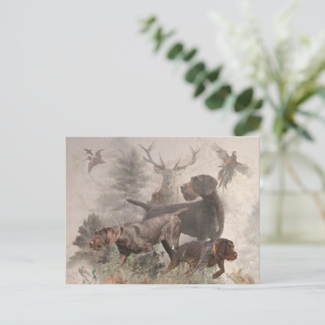 Carte Postale Pointeur À poils durs allemand (Debout devant)