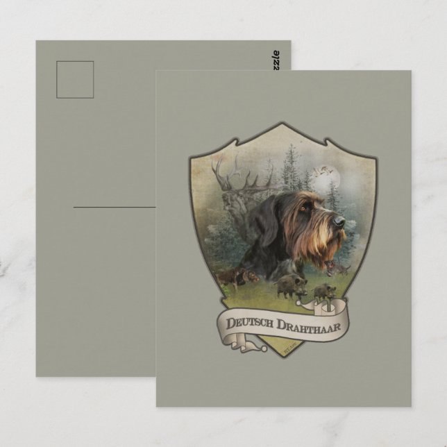 Carte Postale Pointeur À poils durs allemand (Devant / Derrière)