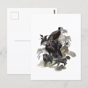 Carte Postale Pointeur à poils durs, Chasse en plein air