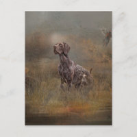 Pointeur allemand à courte portée, bandes Deutsch 