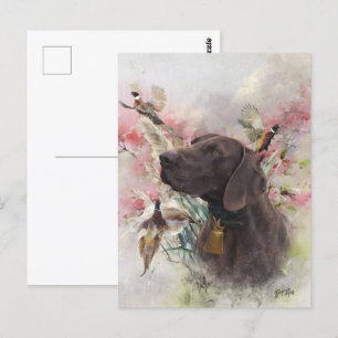 Carte Postale Pointeur court allemand