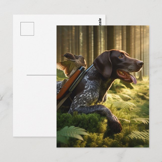 Carte Postale Pointeurs allemands à poils courts (Devant / Derrière)