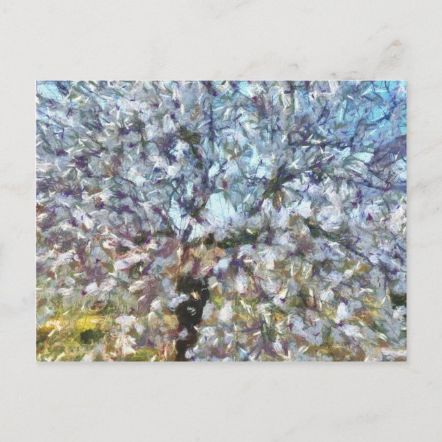 Carte Postale Pointillisme en fleurs d'amandes du printemps (Devant)