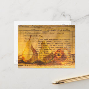 Carte Postale Poires Mixtes  Collage