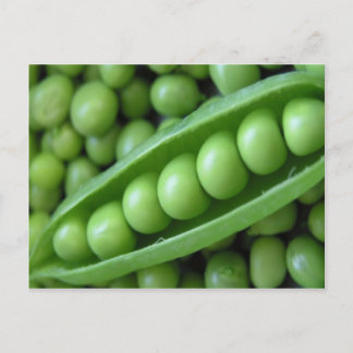 CARTE POSTALE POIS LÉGUMES