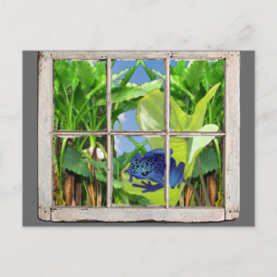 Carte Postale Poison grenouille